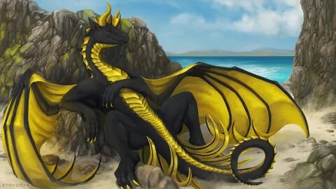 Yiff dragon