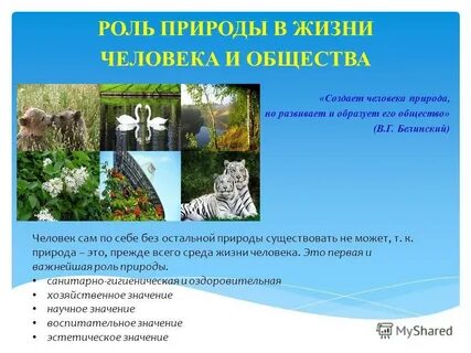 Какова роль природы в жизни человека кратко