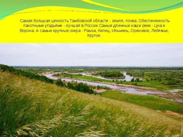 Край тамбовский край родной. Край тамбовский край родной. Край тамбовский край родной. Край тамбовский край родной. Природа тамбовского края.