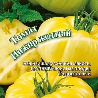 Характеристика томата инжир