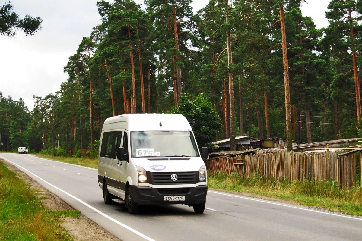 236 автобус бор. Дорога 41а-025. Луидор-22370c (Volkswagen Crafter) № 2769  Санкт-Петербург, маршрут к-248. Автодорога 41а-009. Автодорога 41к-148.