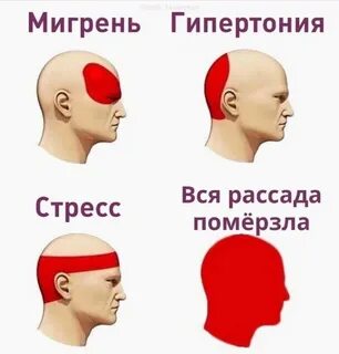 Завтра будет болеть голова