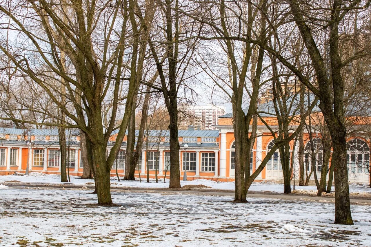 Воронцовский парк (усадьба воронцово). Парк усадьбы Яновских. Усадьба Яновских Калуга. Парк усадьба воронцово каток.