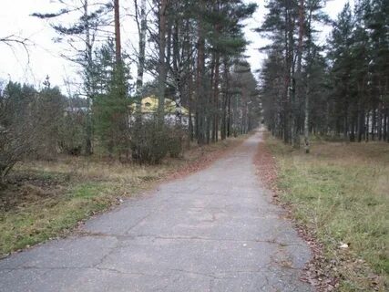 Котово новгородская область