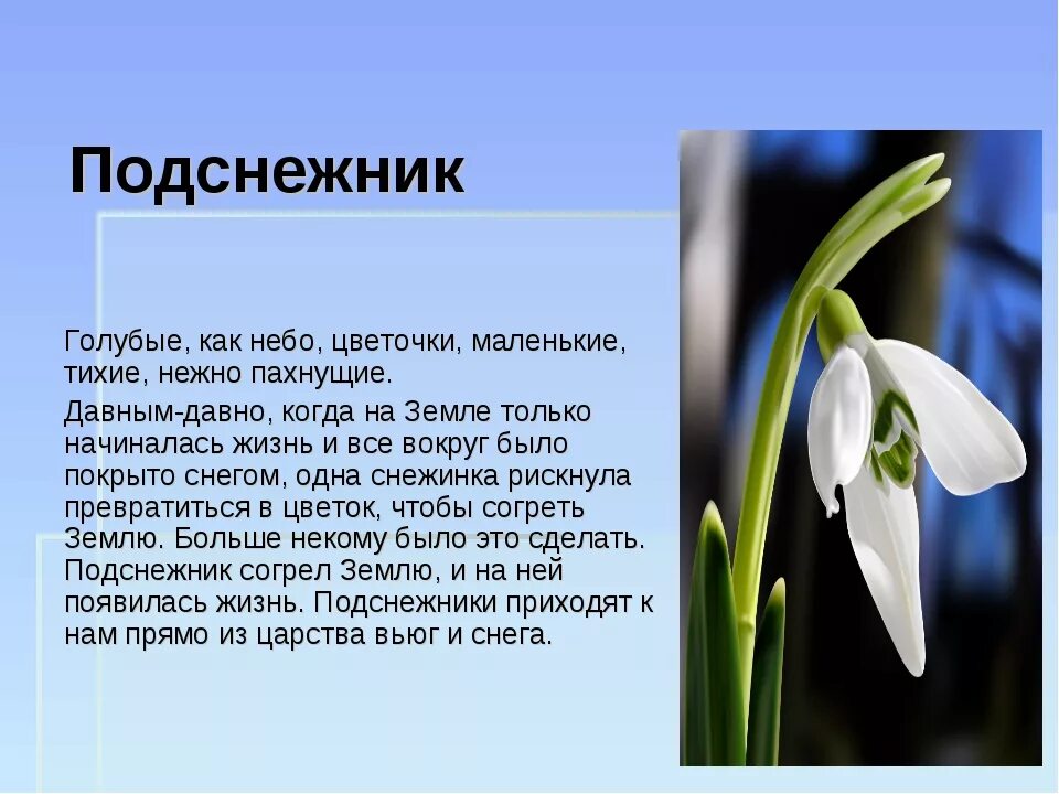 Как описать цветы