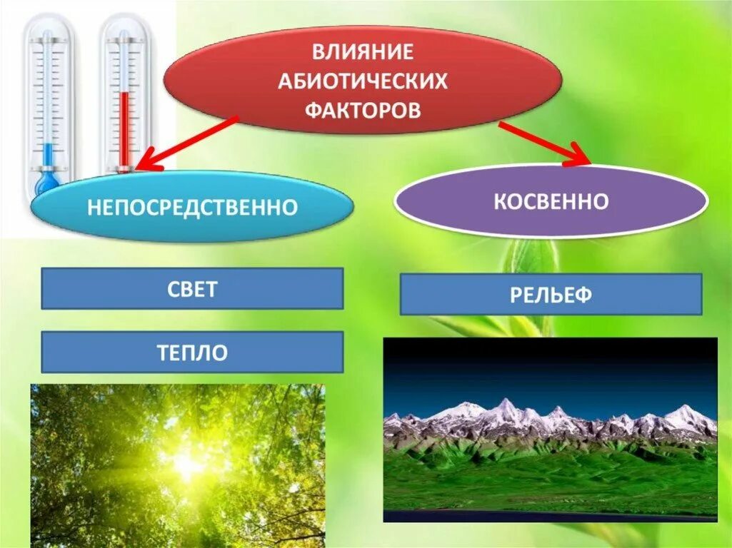 Температура окружающей среды это фактор абиотический. Абиотические факторы среды обитания. Абиотический фактор и влияние на среду обитания. Влияние на организмбиотических факторов. Абиотические факторы среды влияние.