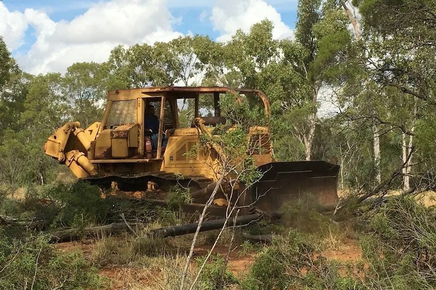 Clearing land. Бульдозер в лесу. Зеленый бульдозер. Бульдозер вқрубка деревья. Шушлайка бульдозер.