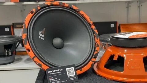 Dl audio gryphon pro 6.180