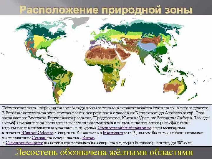 Зона степей и лесостепей на карте Евразии. Степи и лесостепи географическое положение на карте. Карта природной зоны степи лесостепи в России. Степи и лесостепи на карте Евразии.