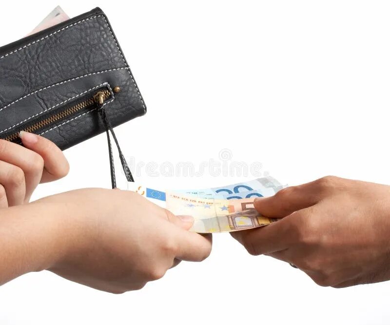 Earn 300 apy on hmstr in wallet