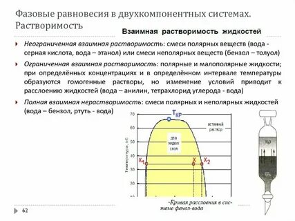 Фазовое разделение жидкость жидкость лизосома