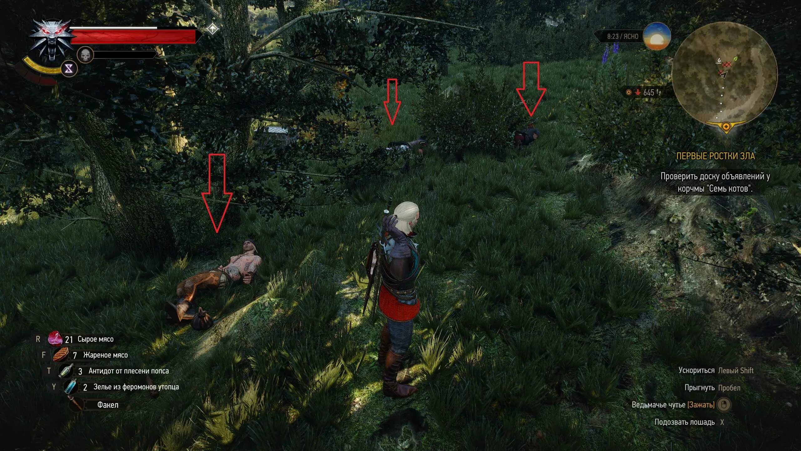 Ведьмак 3 броня на 100 уровень. Броня ведьмак 3 консоль. Снаряжение новолуния ведьмак 3. Команды ведьмак 3 броня. Броня школы змеи чит код ведьмак 3.