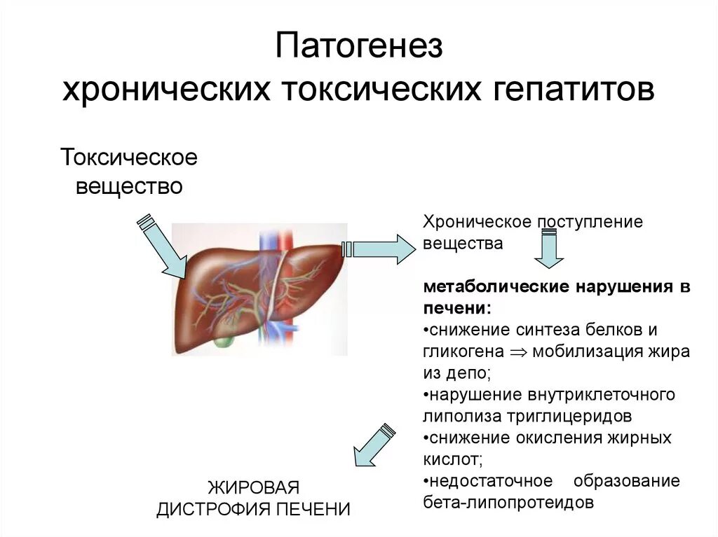 Схема патогенеза лекарственного гепатита. Хронический токсический гепатит патогенез. Механизм развития лекарственного гепатита. Патогенез алиментарного токсического гепатита. Хроническая болезнь печени