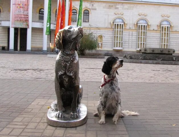 Бим черное ухо воронеж. Белый Бим черное ухо памятник в Воронеже. Памятник белому Биму Воронеж. Памятник белому Биму черное ухо в Воронеже. Белый Бим памятник в Воронеже.