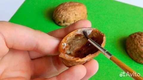 Сделать скорлупу грецкие орехи своими руками