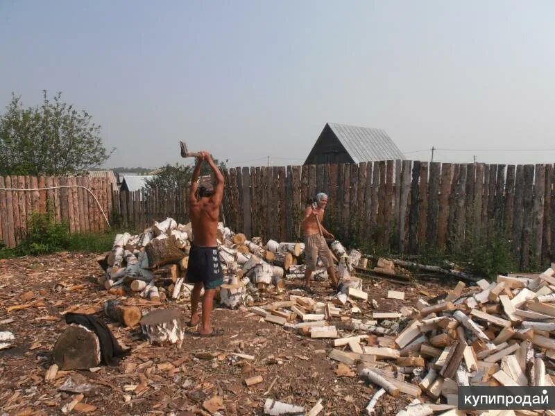 Пильщик и кольщик дров. Кольщик деревьев. Кольщик дров вакансии московская область. Пильщик дубовых дров. Кольщик дров вакансии московская область.