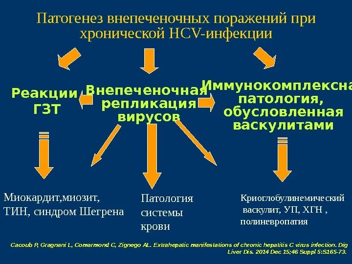 Внепеченочные проявления хронических вирусных гепатитов. Внепеченочные проявления при хронических вирусных гепатитах. Внепеченочные проявления хронического гепатита с. Клинические проявления хронического гепатита.