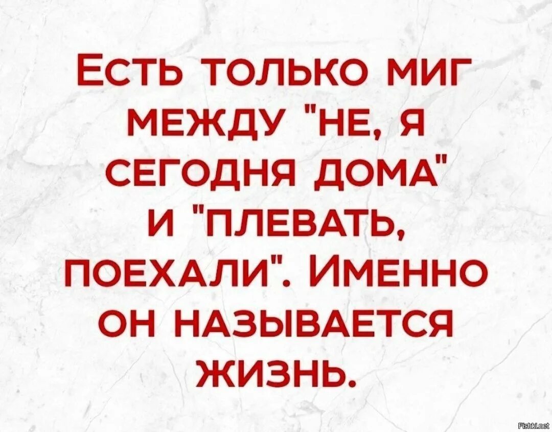 Именно миг называется жизнь. Есть только миг. есть только миг между сном и работой именно. жизнь только миг. миг между сном и работой называется жизнь.