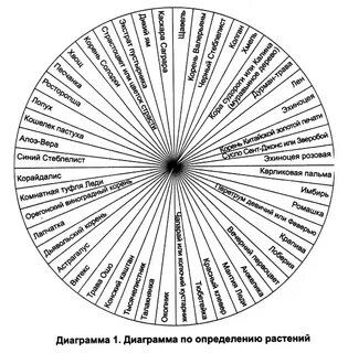 Диаграмма букв
