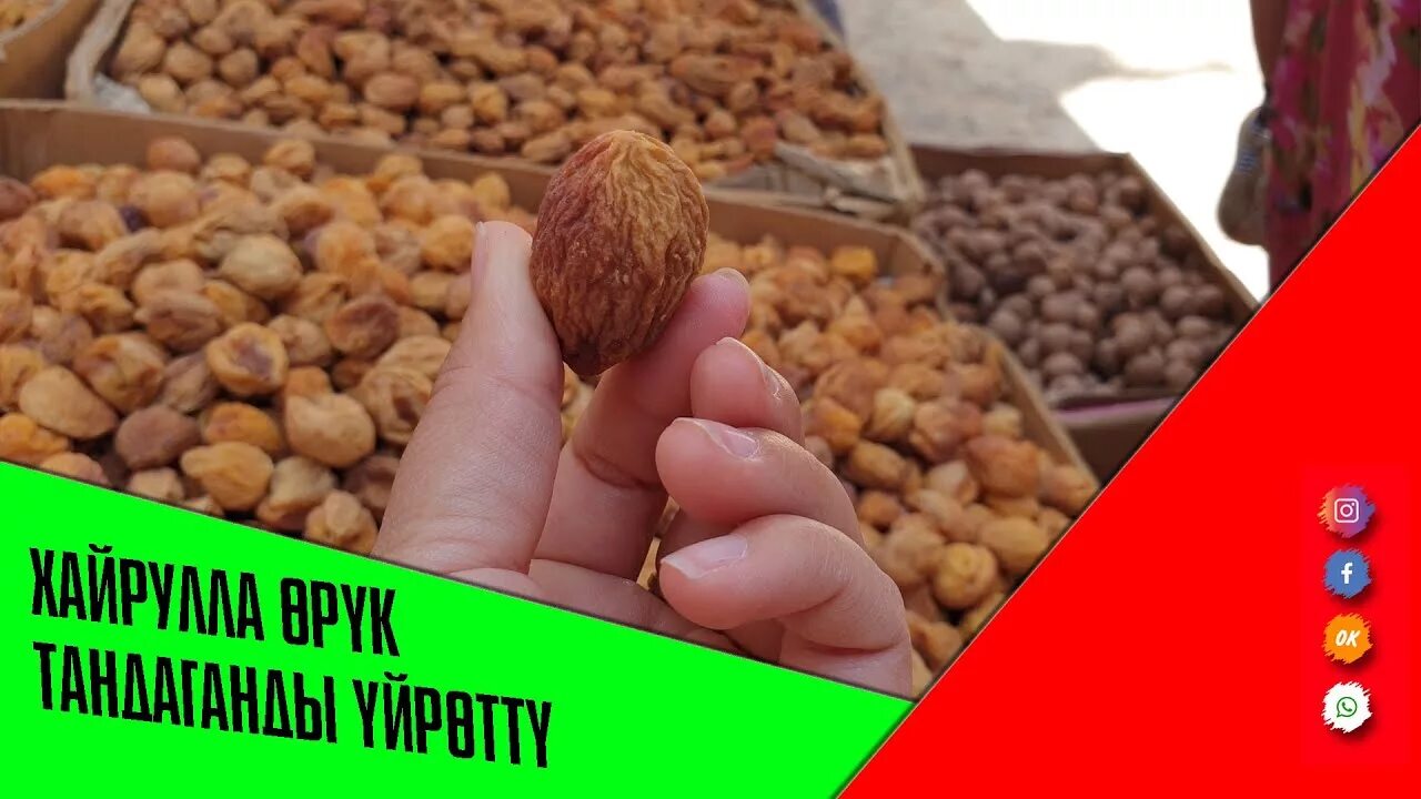 Урюк субхони. Орук фото. Орук данек. Орука. Орук гулу.