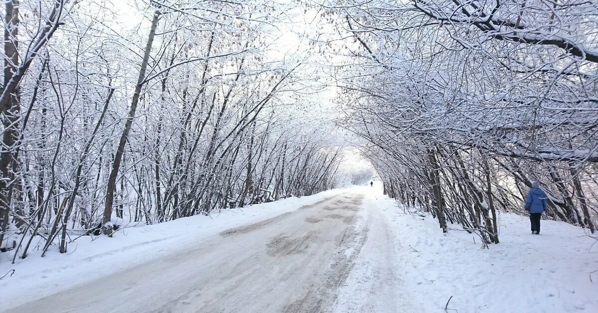 Зимой купить в новосибирске. Новосибирская область зима. Новосибирская область зимой. Новосибирск природа зимой. Челябинск зимой.