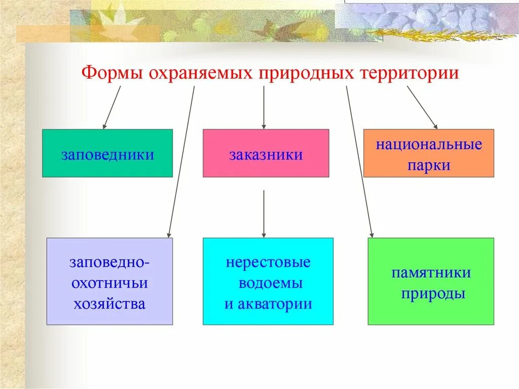 Особо охраняемые природные территории какие виды. Формы охраняемых территорий. Формы охраняемых природных территорий. Классификация охраняемых природных территорий. Особо охраняемые природные территории классификация.