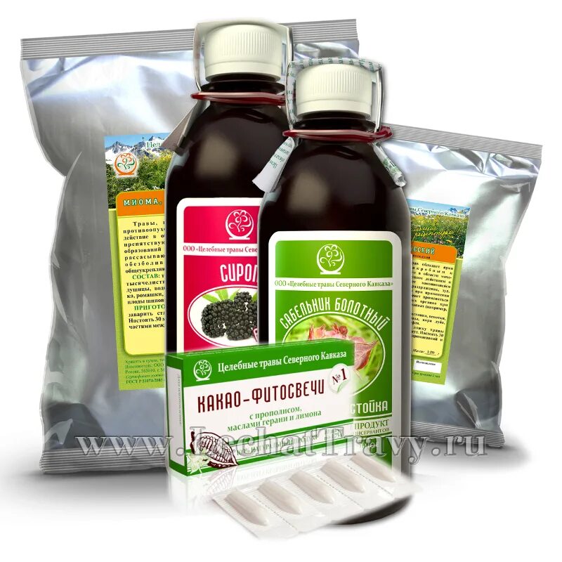 Сборы трав при эндометриозе. Травяной сбор при миоме. Отвар боровой матки. Травяные сборы от миомы. Лечение миомы травами.