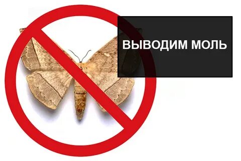 Чем вывести моль