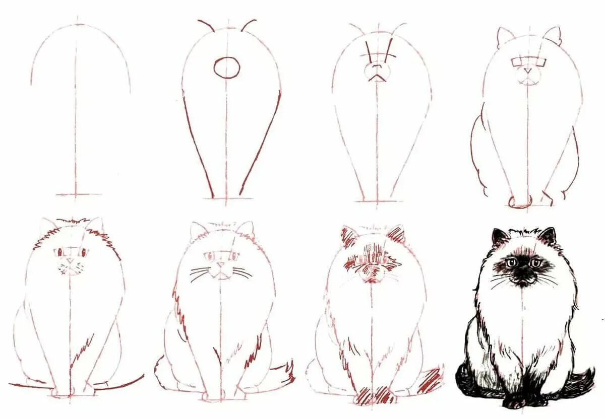 Как просто нарисовать кошку. Поэтапный рисунок кошки. Поэтапное рисование кошки. Кошка рисунок карандашом поэтапно. Кот рисунок карандашом поэтапно.