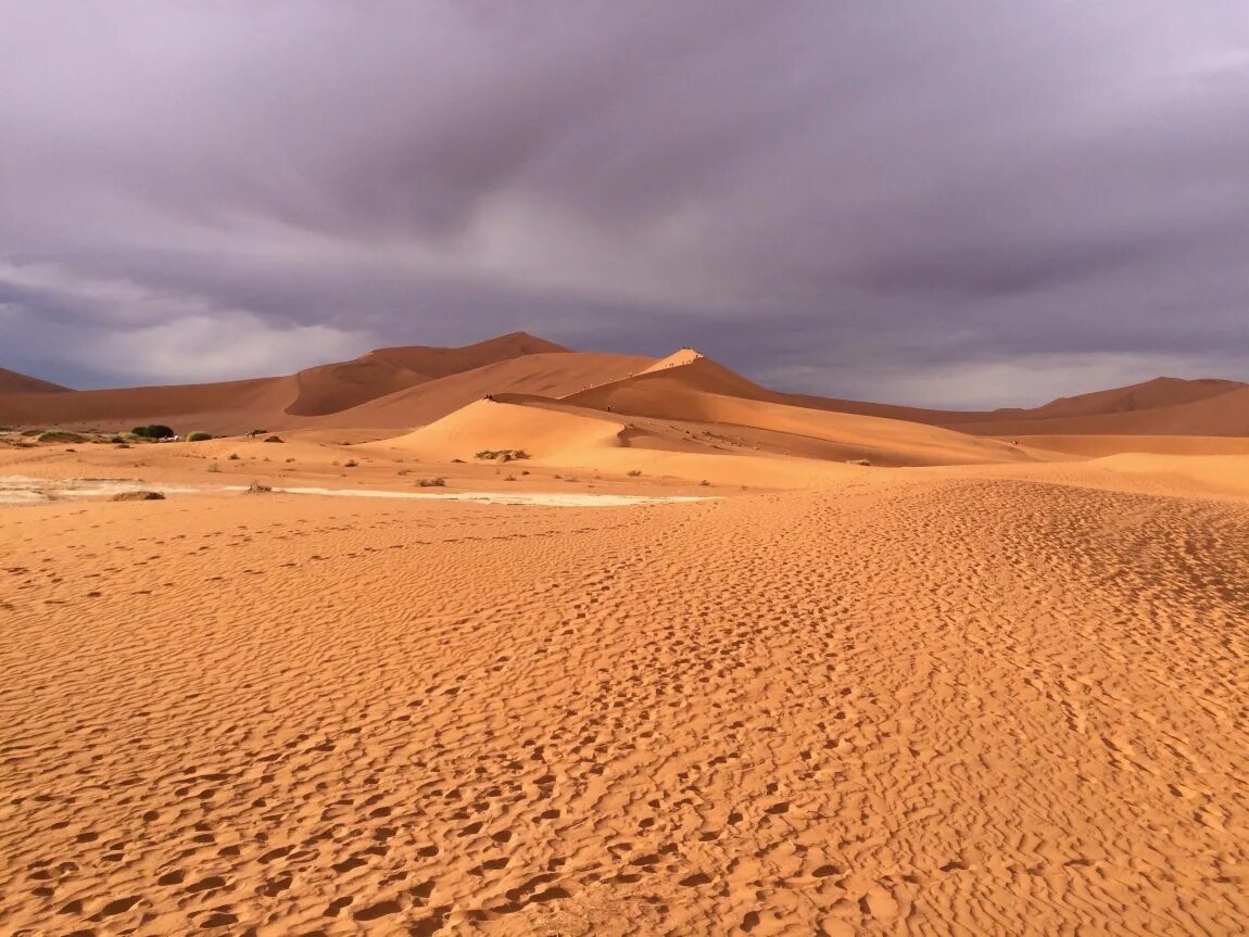 Оазис в пустыне верблюды. Пустыня сахара северная африка. Намибия калахари. Пустыни восточной африки. Пустыня калахари юар.