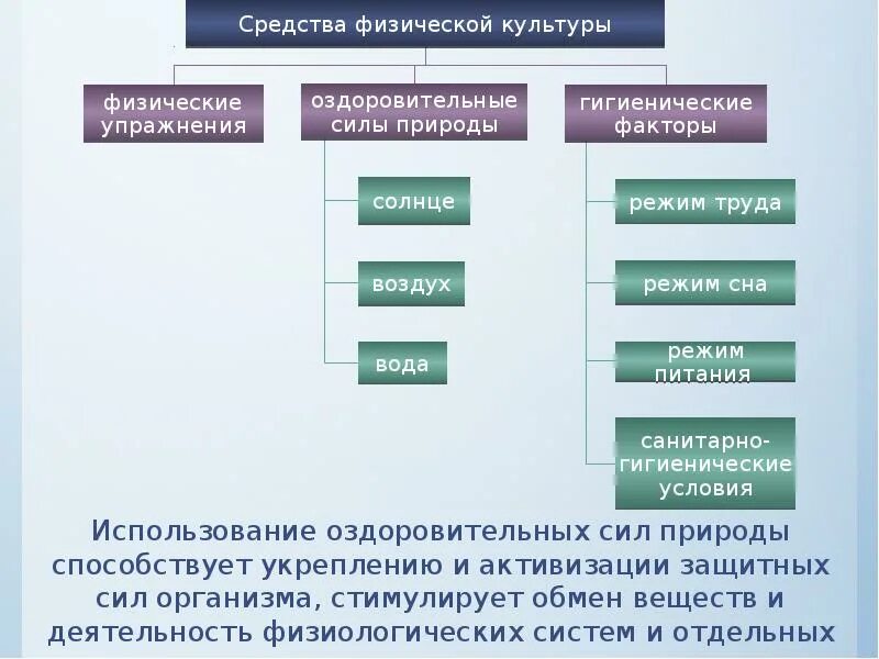 Физические средства это в спорте