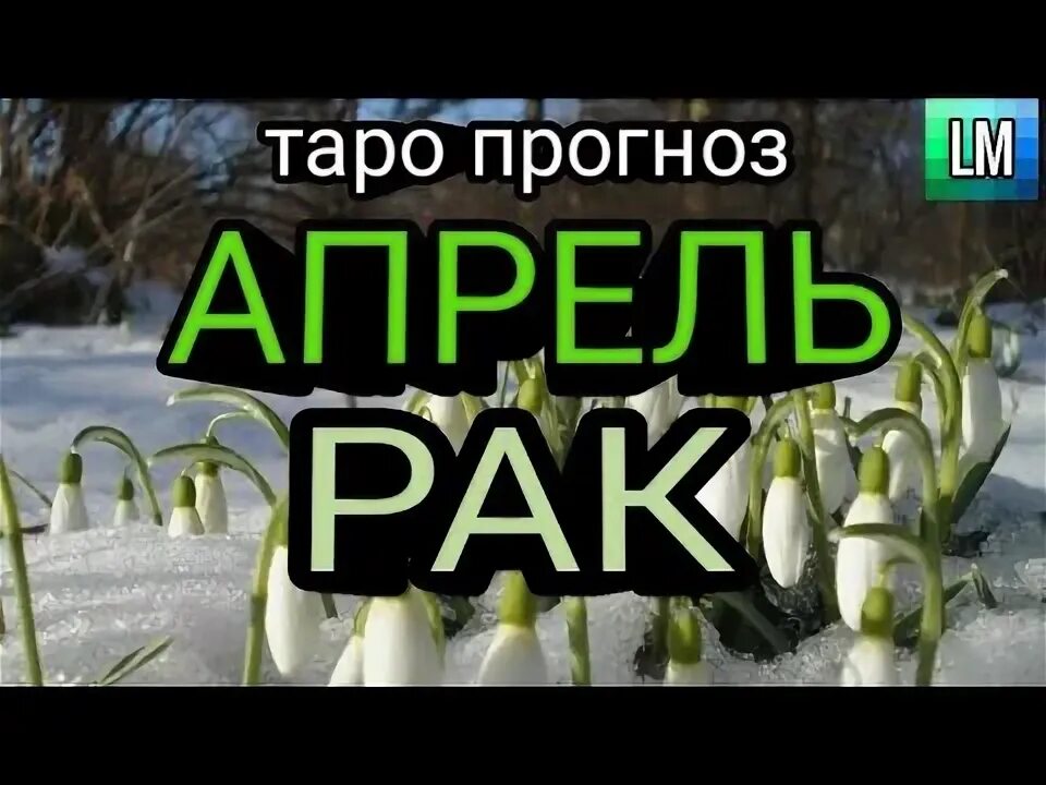 Гороскоп таро на апрель рак. Умырзая Подснежник. Умырзая на башкирском языке. Подснежники по татарски. Татарские песнитатарская песня цмырзая.