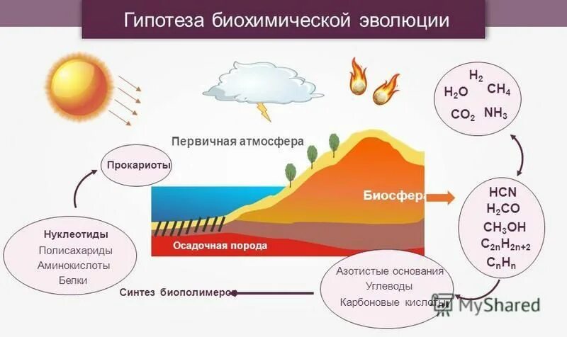 Гипотеза биохимического зарождения жизни. Теория биохимической революции. Гипотеза биохимической эволюции. Этапы биохимической эволюции схема. Теория биохимической эволюции (теория а.и. Опарина).