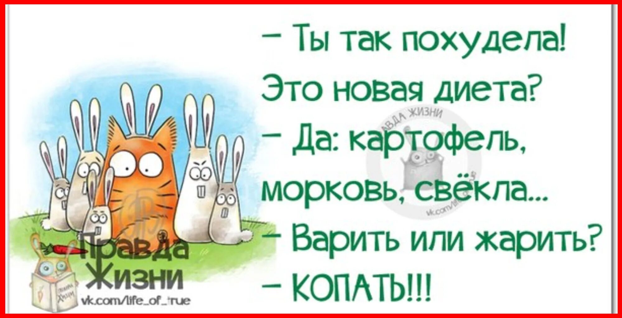 Афоризмы в картинках