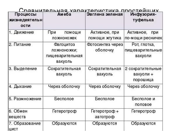 Сравнительная характеристика простейших таблица 7 класс биология. Характеристика простейших 7 класс биология таблица. Таблица простейшие 7 класс биология. Общая характеристика простейших 7 класс биология таблица. Питание дыхание движение