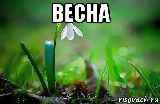 лето. ранняя весна на рабочий стол. жизнь начинается весной. жизнь начинается весной. красивые вдохновляющие фразы.