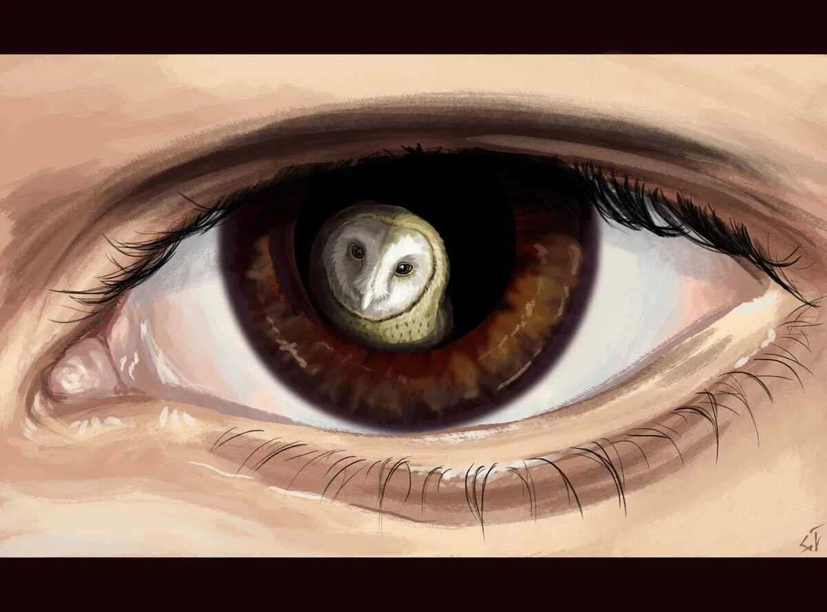 Глаз. Глаза рисунок. Отражение человека в глазах. Глаза арт. Глаз вопиющего