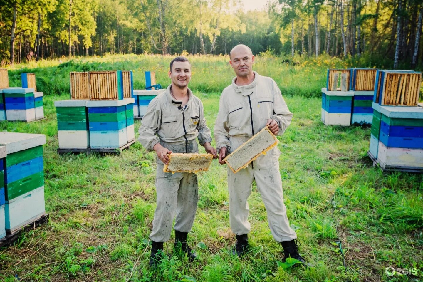 Сельские технологии товары для пчеловодства в москве. Пчеловоды федчишиных. Новости пасеки. Пчеловод. Новая пасека.