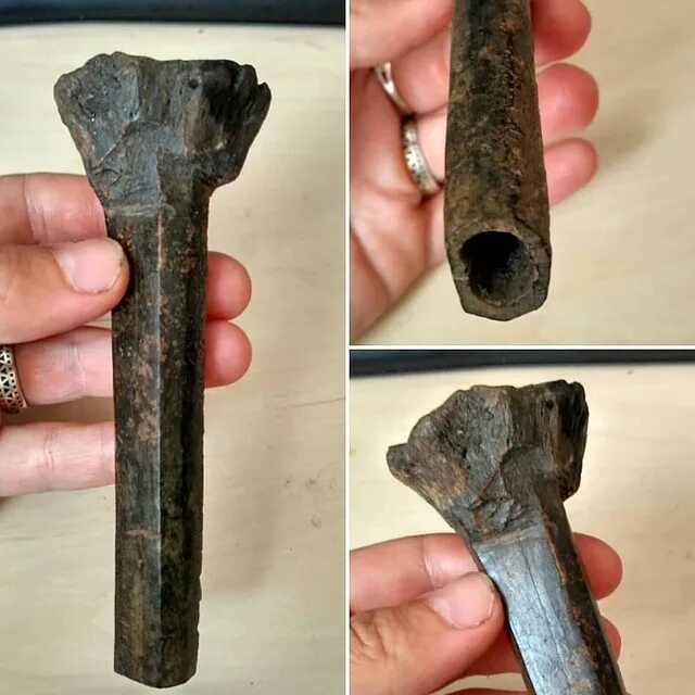 Сопка лебединая находка. Странные археологические находки. Монстры выброшенные на берег. Нетипичная находка. Необычные находки археологов.