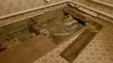 Полузгнившие или полусгнившие как