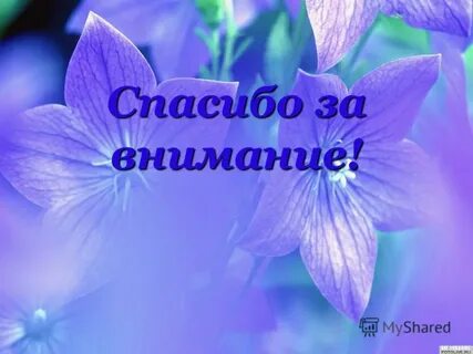 Благодарность мужчине за внимание