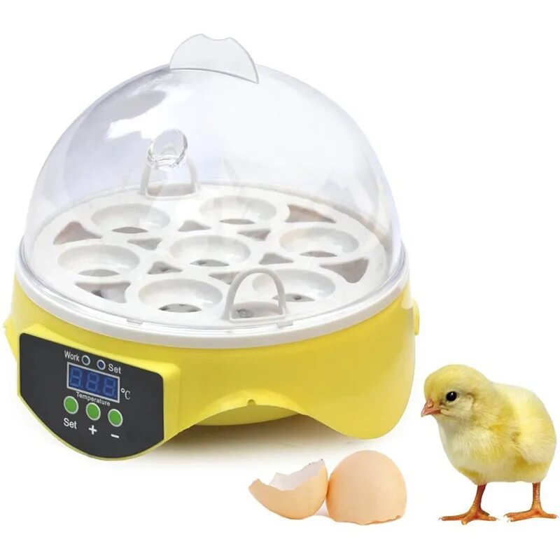Купить инкубатор для яиц кур. Инкубатор HHD 7 мини. Мини-инкубатор на 7 яиц HHD 7 С терморегулятором, SITITEK. Инкубатор автоматический SITITEK HHD 7. Инкубатор Mini Egg incubator 9 яиц.