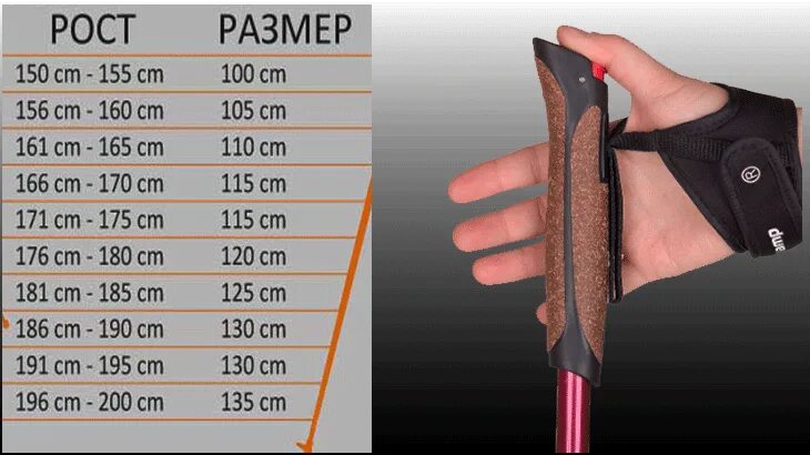 Палки для скандинавской ходьбы на рост 164. Высота палок для скандинавской ходьбы. Высота скандинавских палок. Палки для скандинавской ходьбы на рост 160.