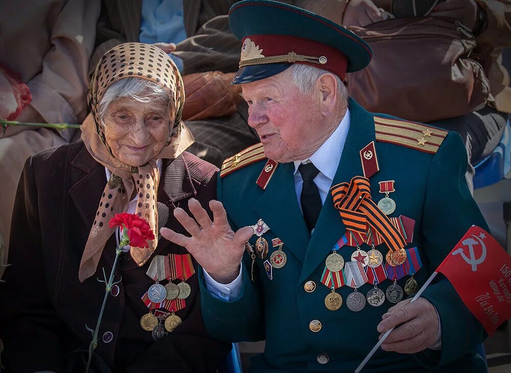 Сколько живых ветеранов великой отечественной