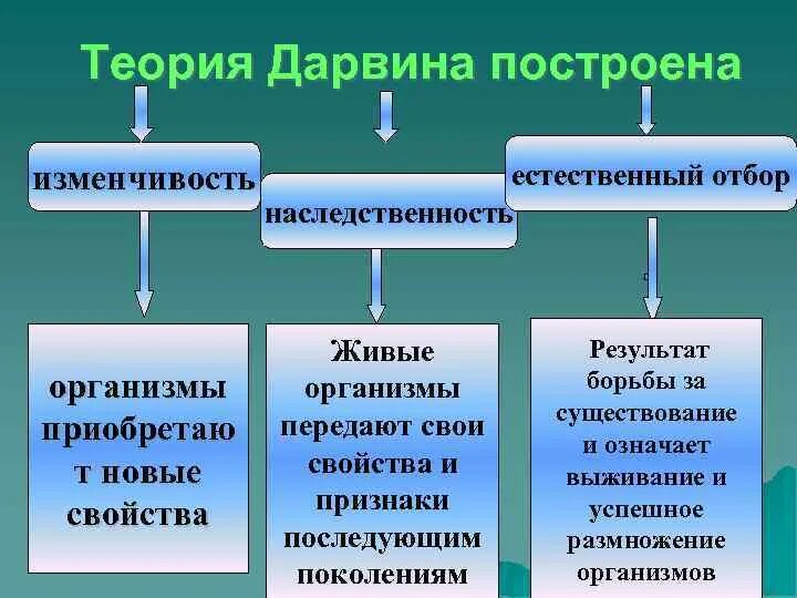 Наследственная изменчивость и естественный отбор. Теория Дарвина. Наследственность по Дарвину. Теория эволюции Дарвина.