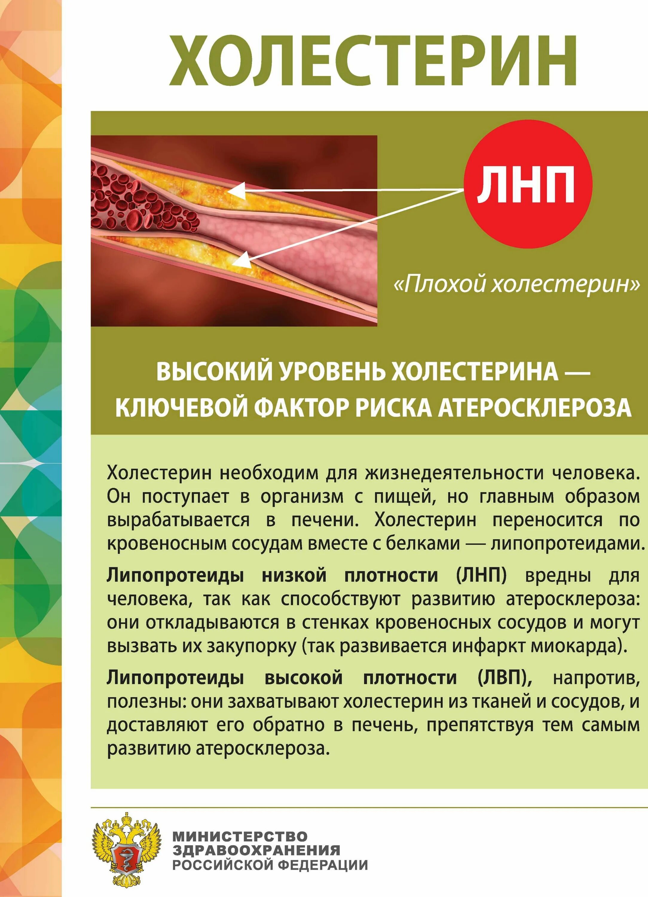 Холестерин. Высокий уровень холестерина. Холестерин это простыми словами. Уровень плохого холестерина. Повышенный холестерин причины лечение после 60