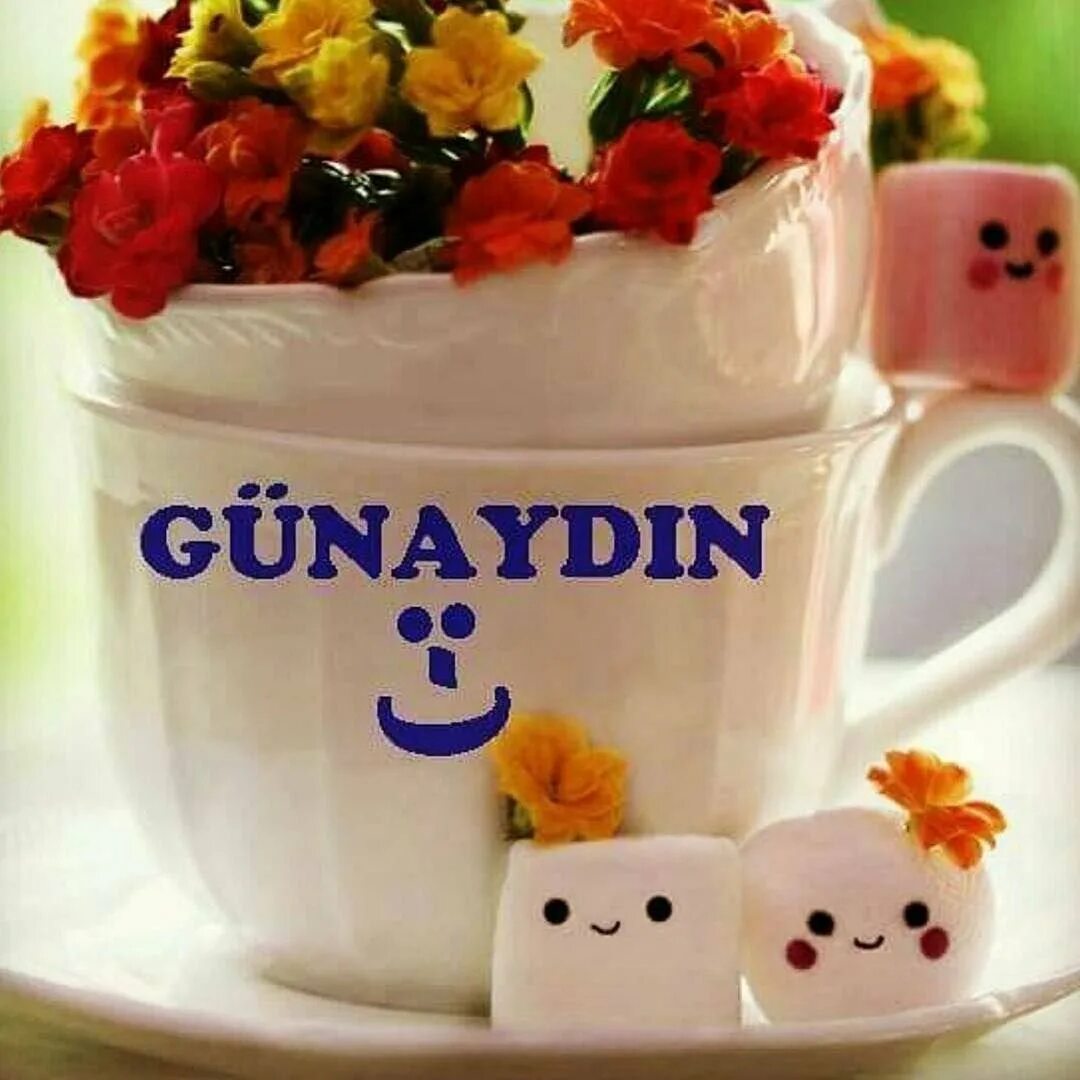Доброе утро картинки на турецком языке мужчине. Открытки Günaydin. Турецкие пожелания с добрым днем. Пожелания с добрым утром по турецки. Открытки с добрым утром на турецком.