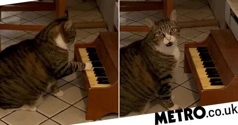 Piano meme