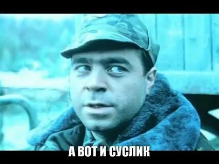 Либерман дмб