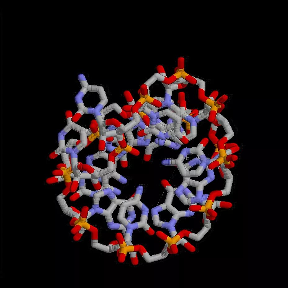 Кольцевая РНК. Рибонуклеиновая кислота. РНК фото. Кольцевая РНК вируса.